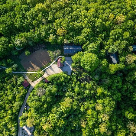 Apartamento Tree Elements Treehouse Retreat Slunj Exterior foto