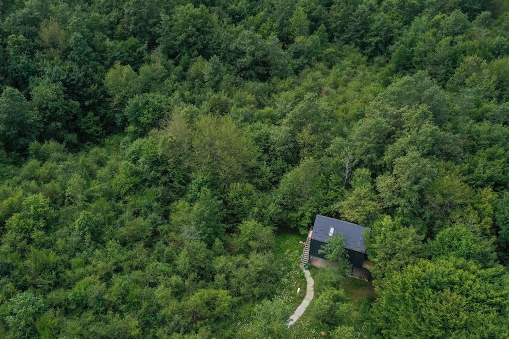 Apartamento Tree Elements Treehouse Retreat Slunj Exterior foto